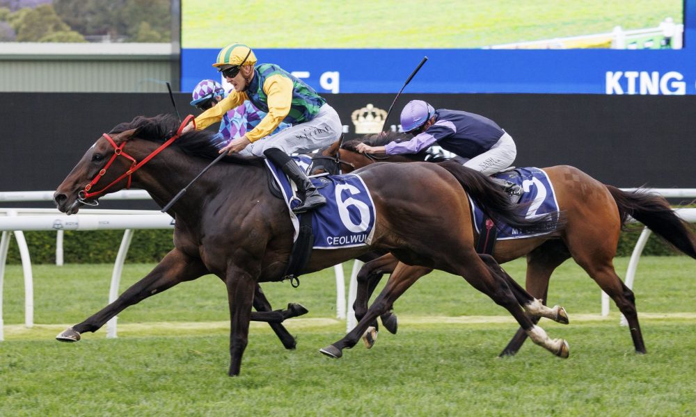 一天的努力 一天的努力