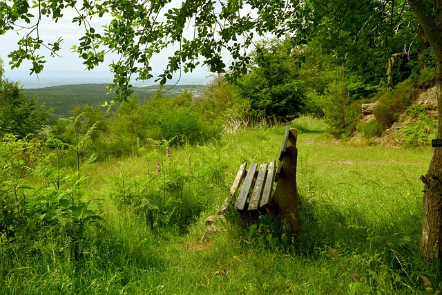 际交流提供 际交流提供