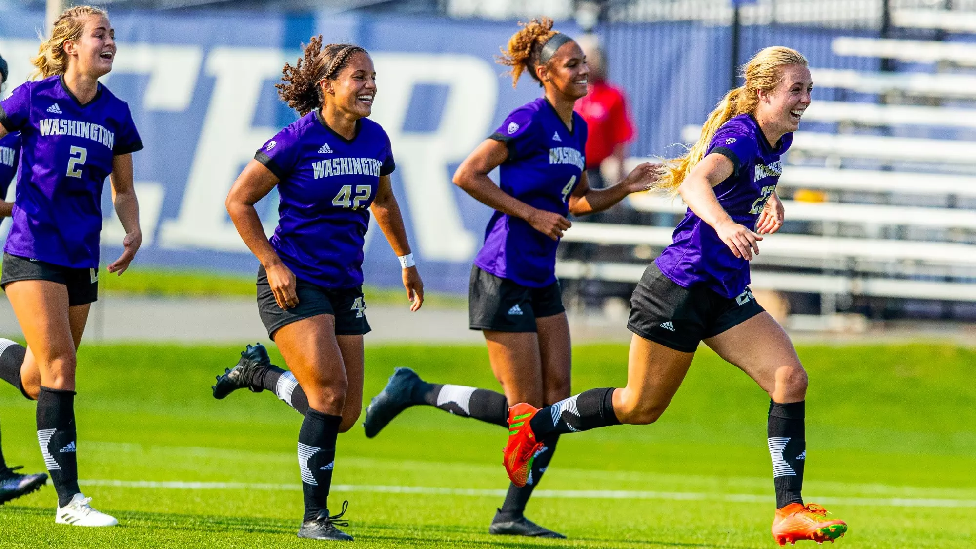 带来不小的 带来不小的