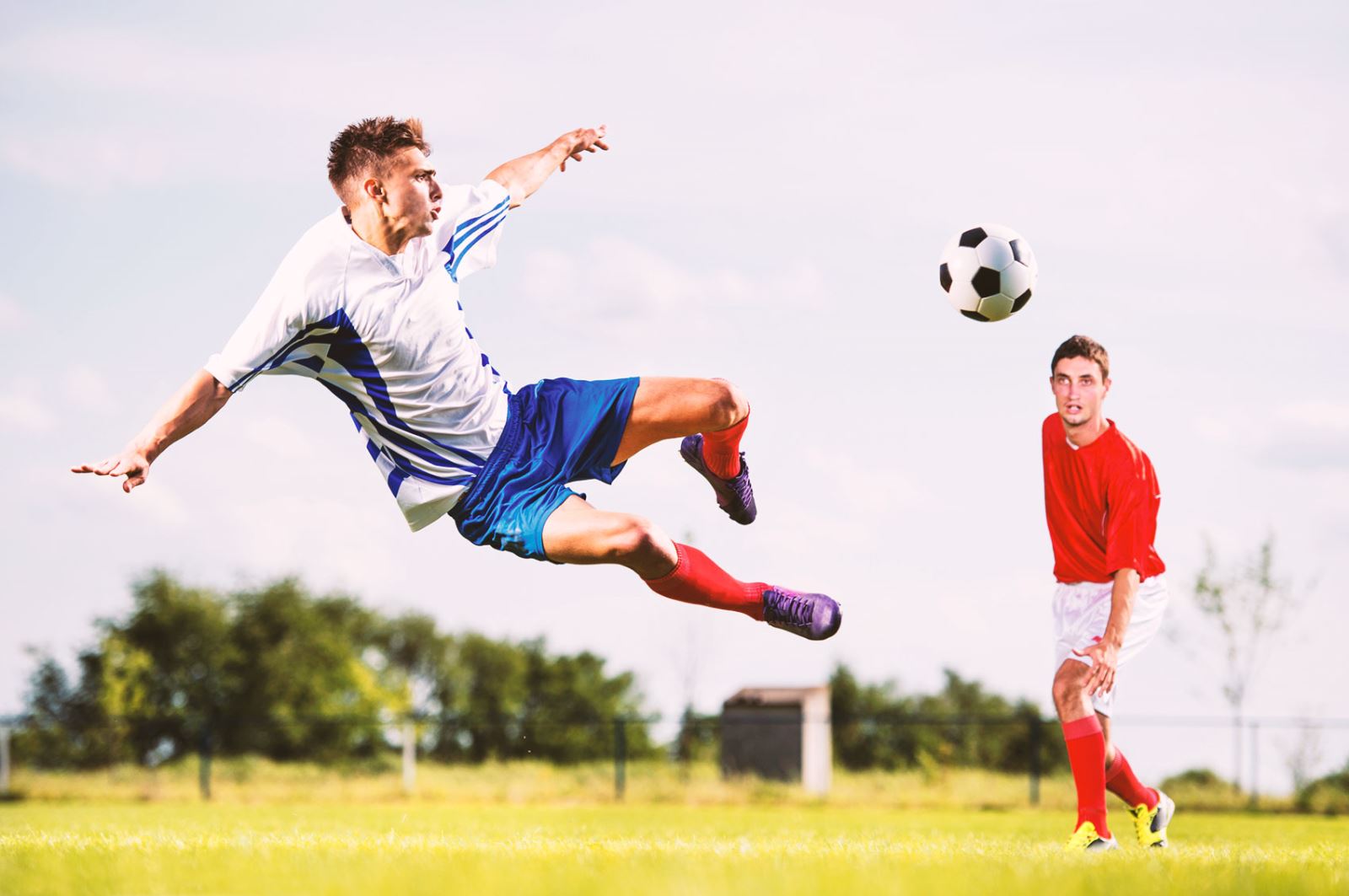 不仅锻炼了 不仅锻炼了