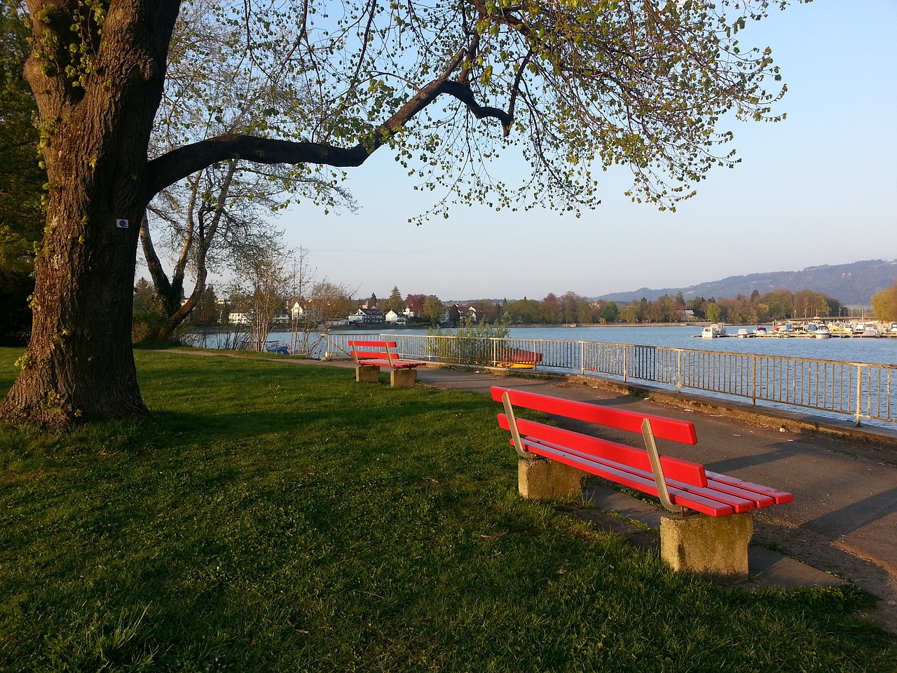 早已成为X 早已成为X